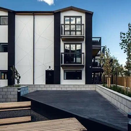 כרייסטצ'רץ' Cozy 1Br Apartment With Hagley Park View מראה חיצוני תמונה