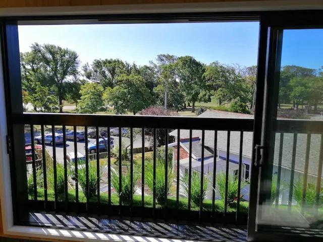 כרייסטצ'רץ' Cozy 1Br Apartment With Hagley Park View מראה חיצוני תמונה